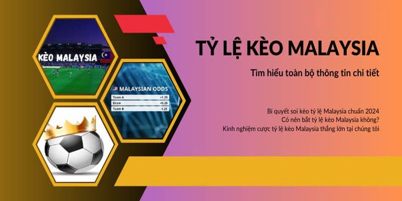 Cách đặt cược kèo Malaysia b52club