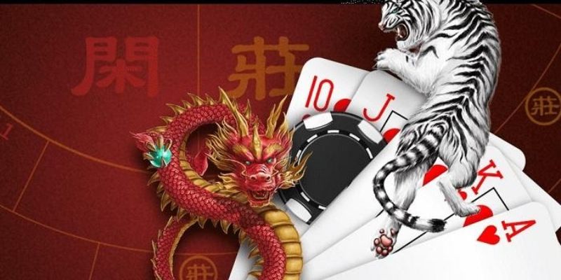 Cách đặt cược và rồng hổ